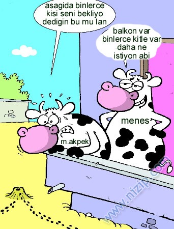 Sütaş karikatürleri Nizip.com'da Olursa.