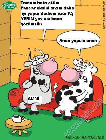 Sütaş karikatürleri Nizip.com'da Olursa.