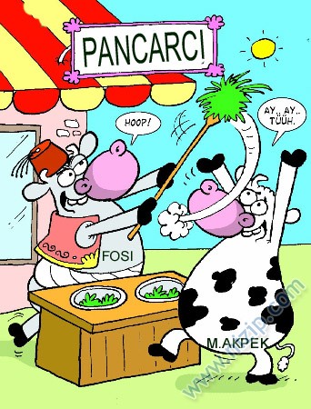 Sütaş karikatürleri Nizip.com'da Olursa.