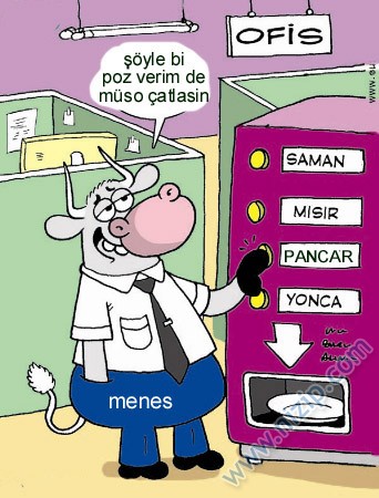 Sütaş karikatürleri Nizip.com'da Olursa.