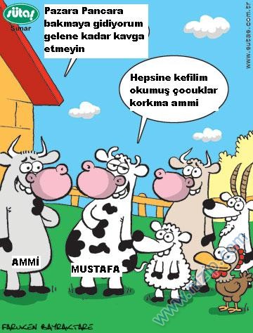 Sütaş karikatürleri Nizip.com'da Olursa.