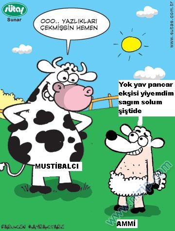 Sütaş karikatürleri Nizip.com'da Olursa.