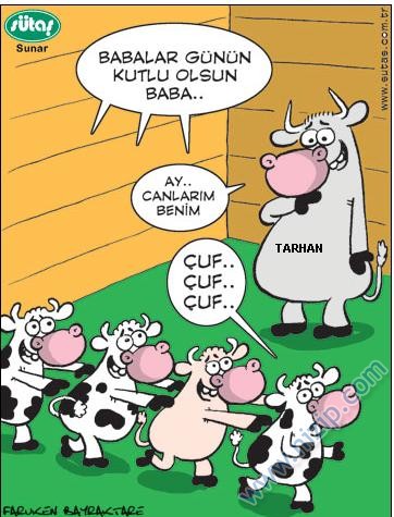 Sütaş karikatürleri Nizip.com'da Olursa.