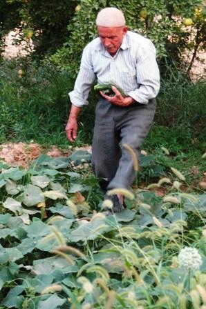 Babamsın Babamsın