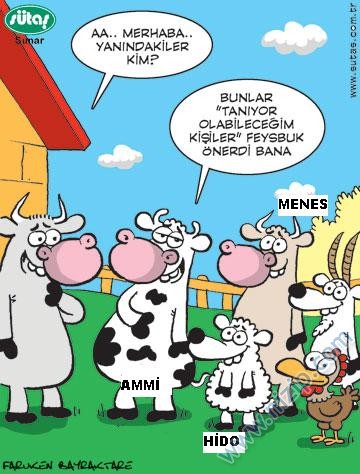 Sütaş karikatürleri Nizip.com'da Olursa.