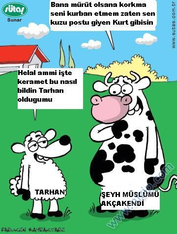 Sütaş karikatürleri Nizip.com'da Olursa.