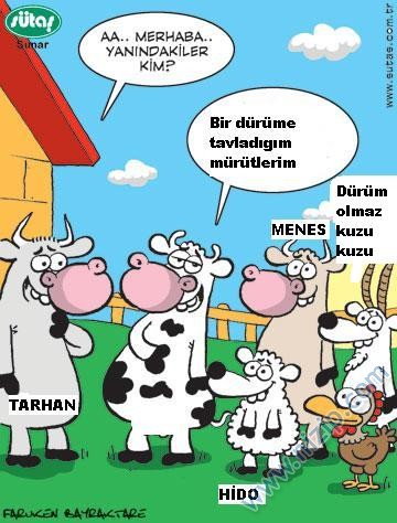 Sütaş karikatürleri Nizip.com'da Olursa.