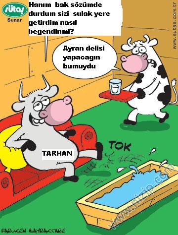 Sütaş karikatürleri Nizip.com'da Olursa.
