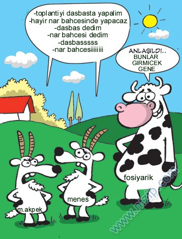 Sütaş karikatürleri Nizip.com'da Olursa.