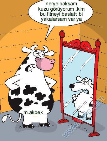 Sütaş karikatürleri Nizip.com'da Olursa.