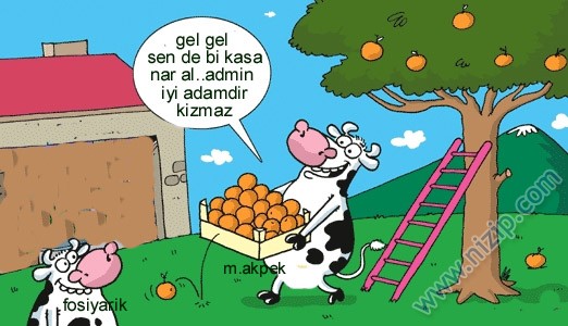Sütaş karikatürleri Nizip.com'da Olursa.