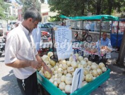 Nizip'te Pepino Satışları