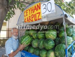 Karpuz Fiyatları Düşmeye Devam Ediyor Karpuz Fiyatları Düşmeye Devam Ediyor