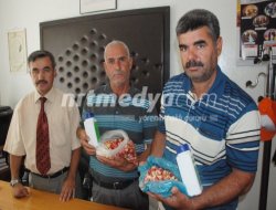 İlk Beng Fıstığa Ödül İlk Beng Fıstığa Ödül