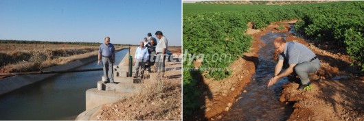 Sarı; \'\'barak ovası bu yıl fırat sularıyla sulanacak\'\'