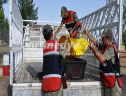 Nizip\'te Erkek Cesedi Bulundu
