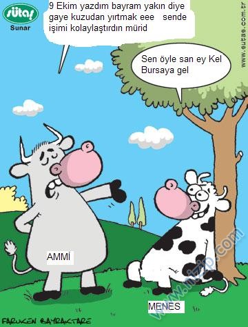 Sütaş karikatürleri Nizip.com'da Olursa.