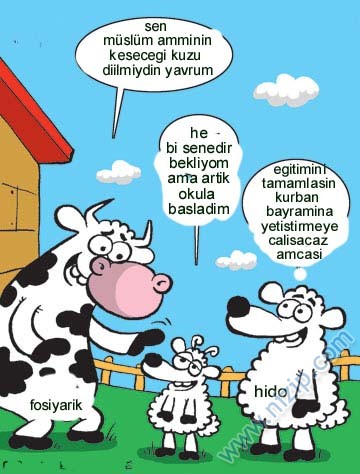 Sütaş karikatürleri Nizip.com'da Olursa.