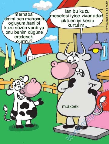 Sütaş karikatürleri Nizip.com'da Olursa.