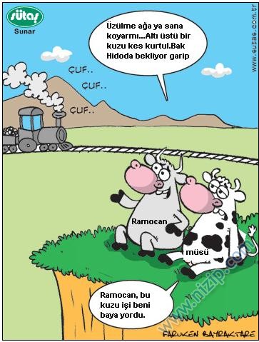 Sütaş karikatürleri Nizip.com'da Olursa.