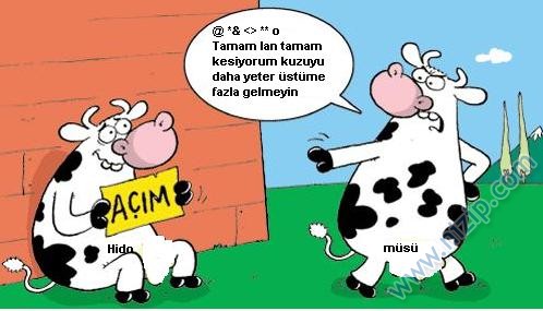 Sütaş karikatürleri Nizip.com'da Olursa.