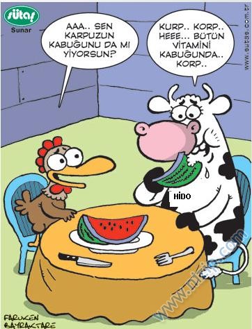 Sütaş karikatürleri Nizip.com'da Olursa.
