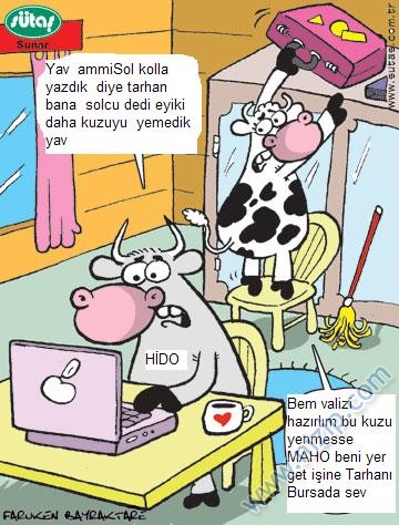 Sütaş karikatürleri Nizip.com'da Olursa.