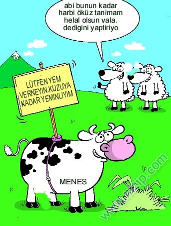 Sütaş karikatürleri Nizip.com'da Olursa.