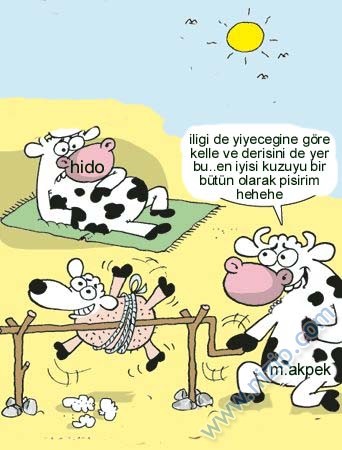Sütaş karikatürleri Nizip.com'da Olursa.