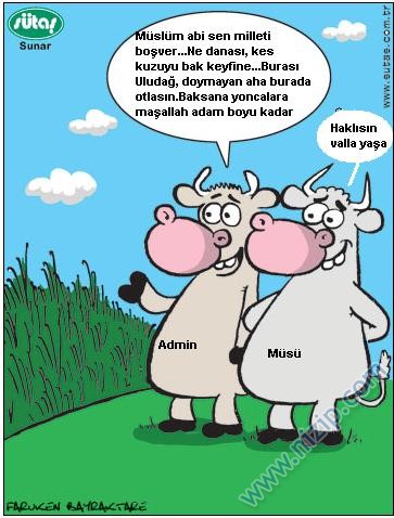 Sütaş karikatürleri Nizip.com'da Olursa.