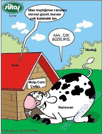 Sütaş karikatürleri Nizip.com'da Olursa.