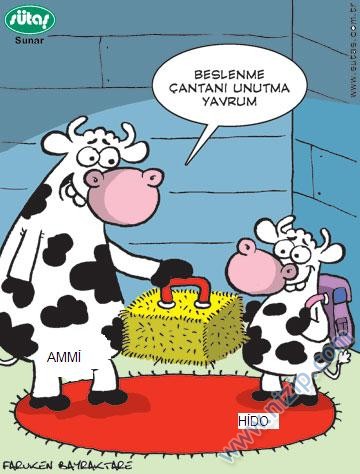 Sütaş karikatürleri Nizip.com'da Olursa.
