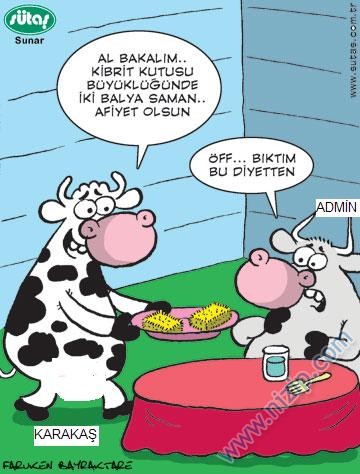 Sütaş karikatürleri Nizip.com'da Olursa.