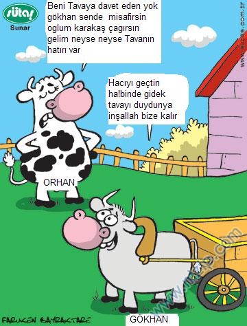 Sütaş karikatürleri Nizip.com'da Olursa.