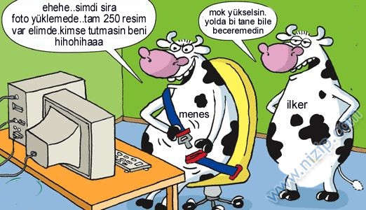 Sütaş karikatürleri Nizip.com'da Olursa.