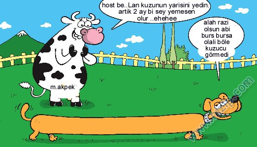 Sütaş karikatürleri Nizip.com'da Olursa.