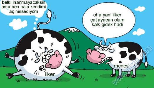 Sütaş karikatürleri Nizip.com'da Olursa.
