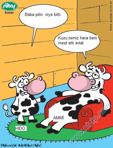 Sütaş karikatürleri Nizip.com'da Olursa.