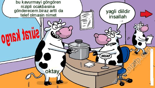 Sütaş karikatürleri Nizip.com'da Olursa.