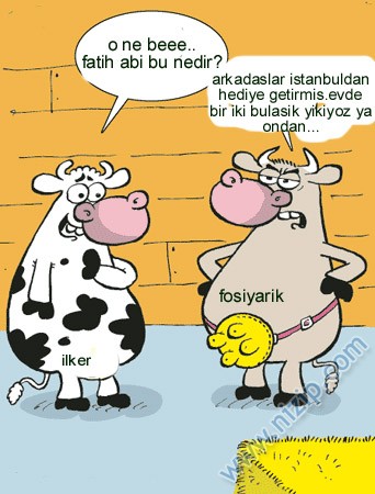 Sütaş karikatürleri Nizip.com'da Olursa.