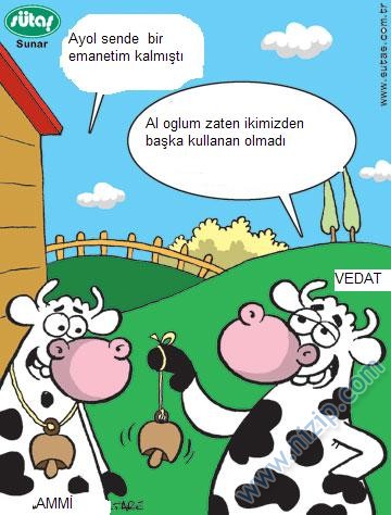 Sütaş karikatürleri Nizip.com'da Olursa.