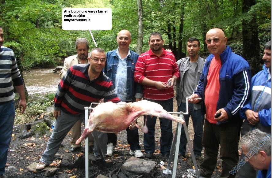 Nizip.com Kemalpaşa 2011 Fotoromanı