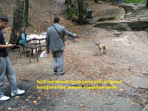 Nizip.com Kemalpaşa 2011 Fotoromanı
