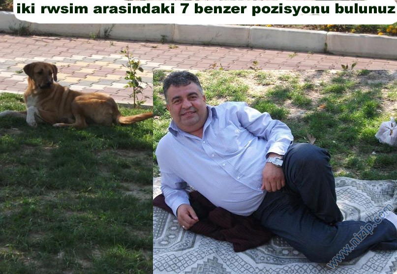 Nizip.com Kemalpaşa 2011 Fotoromanı