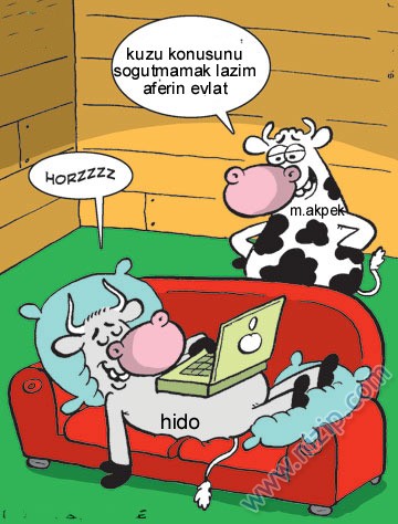 Sütaş karikatürleri Nizip.com'da Olursa.