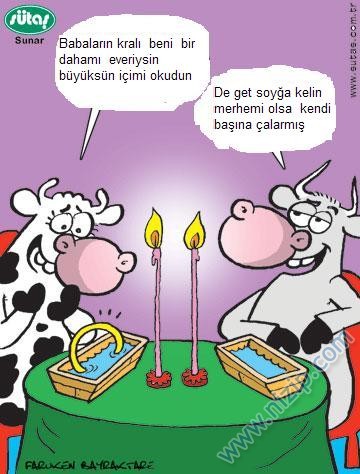 Sütaş karikatürleri Nizip.com'da Olursa.