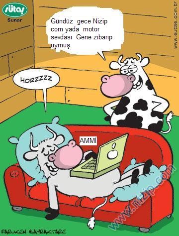 Sütaş karikatürleri Nizip.com'da Olursa.
