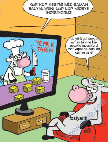 Sütaş karikatürleri Nizip.com'da Olursa.
