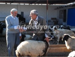 "Her Evden Bir Battaniye" Kampanyası