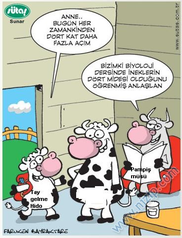Sütaş karikatürleri Nizip.com'da Olursa.